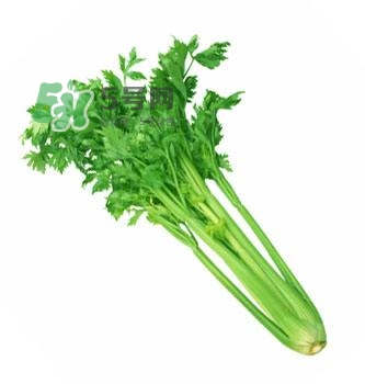 芹菜有没有杀精或者避孕作用,芹菜可以杀精吗