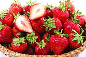 草莓和苹果能一起吃吗?,草莓和苹果能一起吃吗梦见家里窗户开着