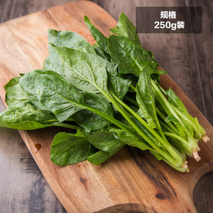 菠菜是蔬菜之王吗,蔬菜之王是什么菜,是胡萝卜 菠菜是蔬菜之王吗,蔬菜之王是什么菜,是胡萝卜