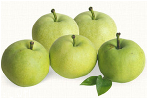 翡翠梨多少钱一斤,现在雪梨多少钱一斤