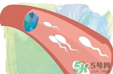 男性避孕药价格,男性避孕药有什么牌子 男性避孕药价格,男性避孕药有什么牌子