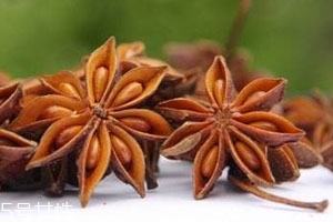 八角籽能吃吗,八角的籽有什么作用