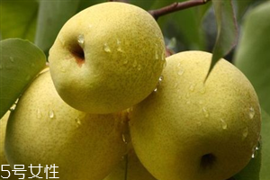 减肥晚上吃梨子会胖吗,晚上吃梨子会胖吗