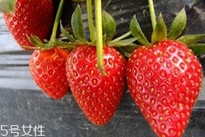 儿童咳嗽雪梨的做法,宝宝咳嗽可以吃草莓吗?