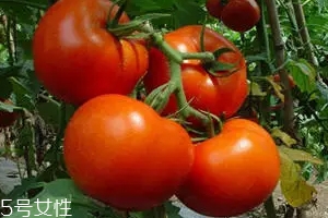 饭后喝水会影响消化吗,饭前多久喝水不会影响消化