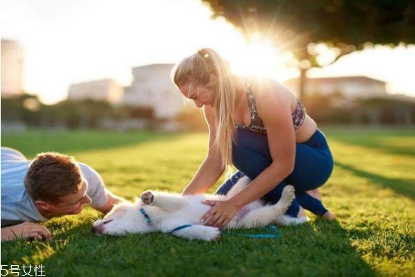夫妻之间怎样做才能感情越来越好,夫妻感情怎么样才能越来越好