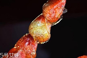 孕妇可以吃草莓冰糖葫芦吗?,孕妇能吃冰糖葫芦