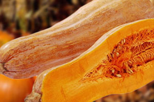 吃南瓜对肠胃好不好,吃南瓜对肠胃有好处吗