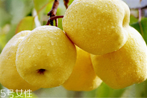 吃水晶梨有什么好处,孕妇能吃水晶梨吗