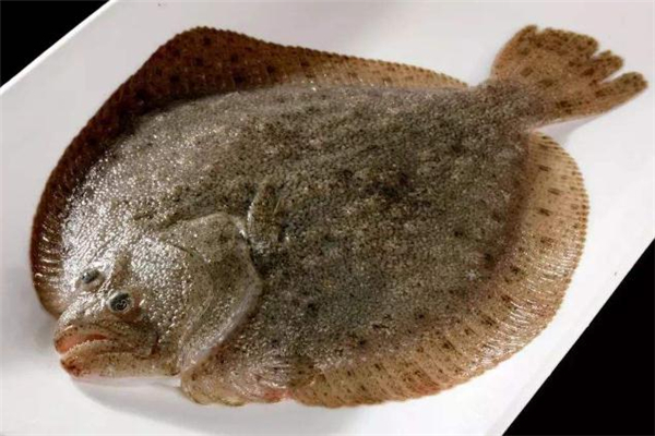 多宝鱼去腥味方法,多宝鱼怎么有腥臭味