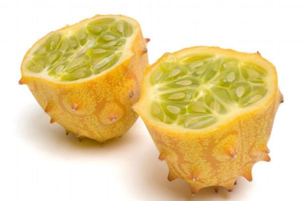 刺角瓜图片,刺角瓜的功效和作用