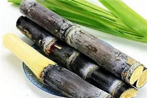 冬季吃甘蔗有什么好处?,冬天吃甘蔗有什么好处和坏处