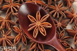 八角什么时候成熟采摘,八角什么时候成熟?