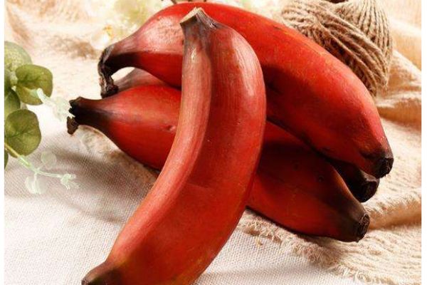 有红香蕉吗,红色的香蕉叫什么
