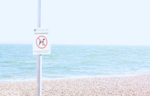 西女一个西女你的嘴和手好白