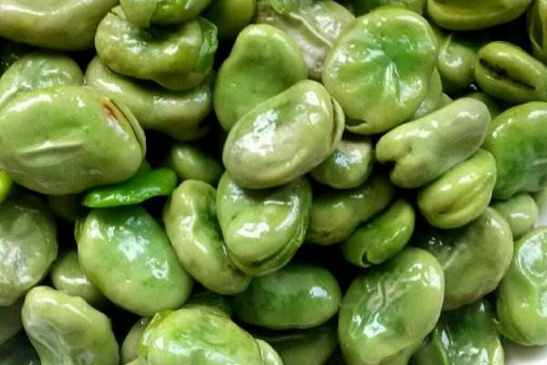 吃蚕豆过敏了怎么办,吃蚕豆过敏吗 吃蚕豆过敏了怎么办,吃蚕豆过敏吗