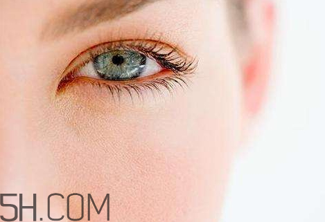 段子是什么意思,很有意思的段子