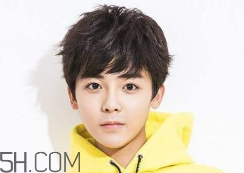 娱乐圈四大小狼狗是谁,揭秘娱乐圈你是条狗