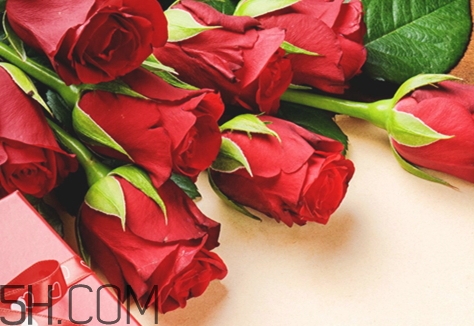 女生说so是什么意思啊,女生说so是什么意思 这样回答100分