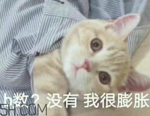 b数没有我膨胀啥意思,没有我好看什么意思