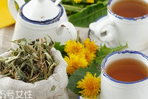 枸杞子能和蒲公英一起泡水喝吗?,枸杞子和蒲公英一起泡水喝可以吗