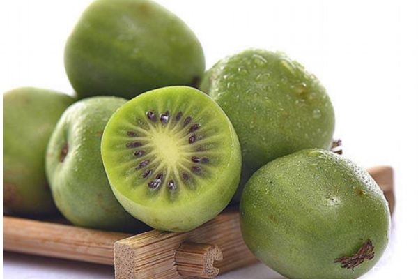 软枣猕猴桃是枣还是猕猴桃,软枣猕猴桃的作用
