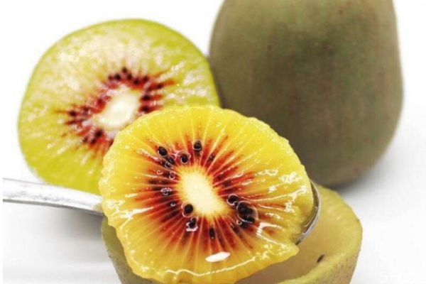 孕妇可以吃红心猕猴桃吗,孕妇可以吃红心猕猴桃吗早期