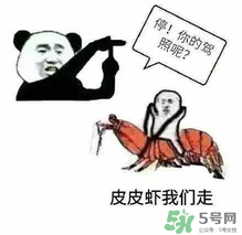 网络用语皮皮虾是什么意思,网络用语皮皮虾我们走是什么意思