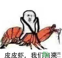 皮皮虾我们走什么意思啊,皮皮虾跟我走下一句是什么