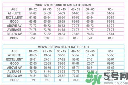 影响心率的因素是什么,心率的高低和什么有关