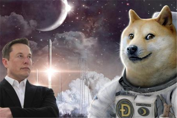 狗狗币还会涨吗,狗狗币还会涨吗2021年