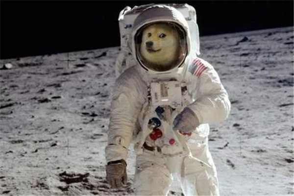 马斯克和狗狗币,埃隆马斯克狗狗币