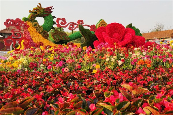 五一全国赏花地图来了,五一全国赏花地图一 五一全国赏花地图来了,五一全国赏花地图一