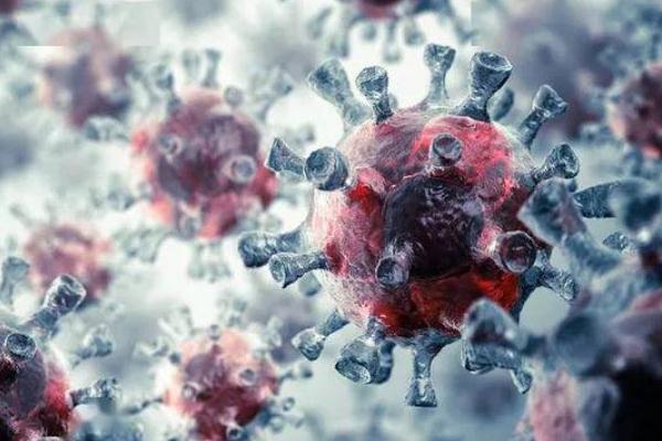 新冠病毒变异疫苗还有用吗?,新冠病毒变异疫苗还有用吗?张文宏的解答