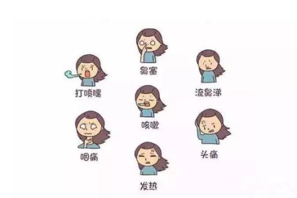 人类流感病毒分为几型,流感病毒分为几型
