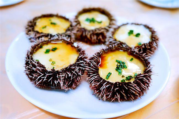 海南海胆蒸蛋事件,海胆蒸蛋事件后续 海南海胆蒸蛋事件,海胆蒸蛋事件后续