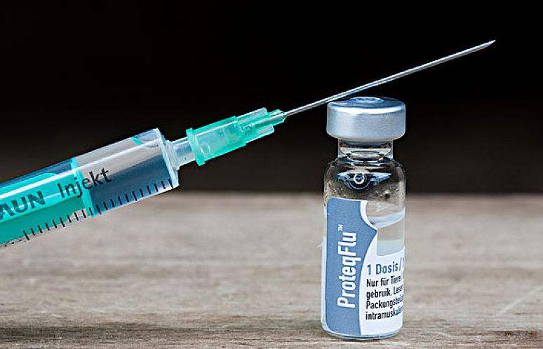 打新冠疫苗可以爬山吗?,接种新冠疫苗能跑步吗