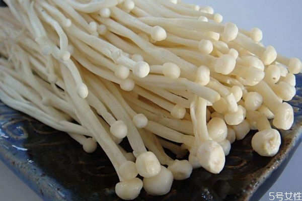 吃金针菇的禁忌,吃金针菇有什么用 吃金针菇的禁忌,吃金针菇有什么用