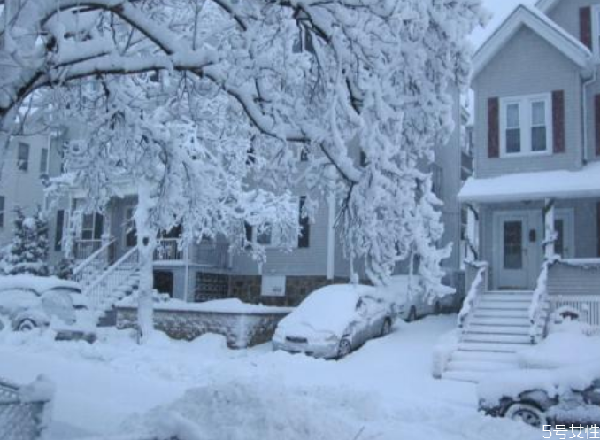 2021年元旦哪里会下雪,2021年春节会下雪吗?