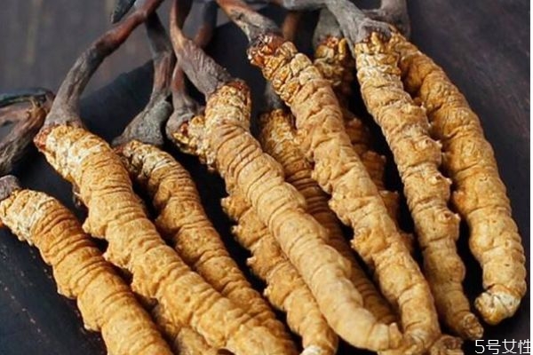 虫草生吃的功效和作用,虫草功效 虫草生吃的功效和作用,虫草功效