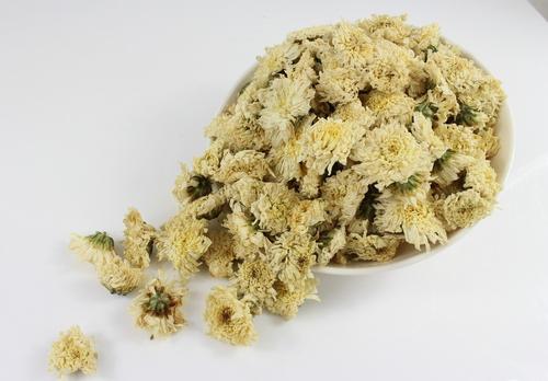 菊花月经期间可以喝吗,来大姨妈可以喝菊花茶吗