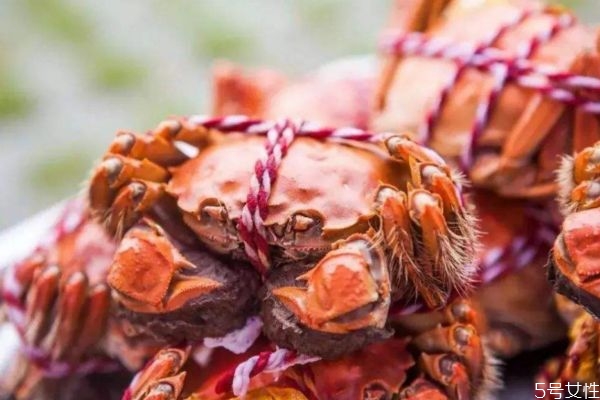 梭子蟹是什么蟹,梭子蟹为什么叫梭子蟹