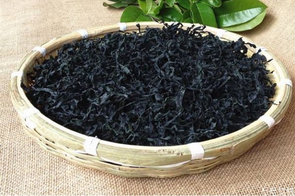 海木耳是什么东西啊,木耳是海产品吗