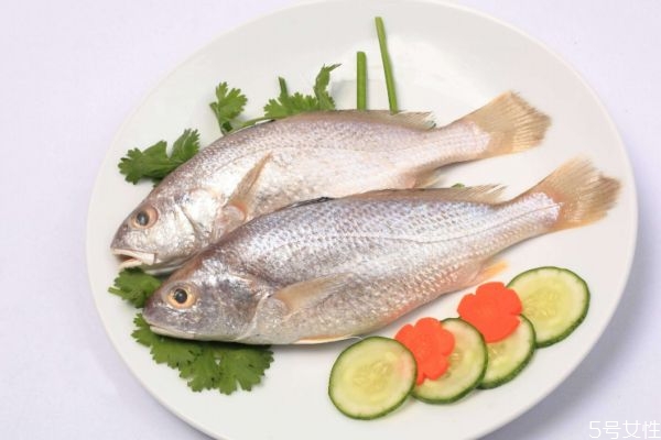 白姑鱼是什么鱼,白姑鱼是海鱼吗