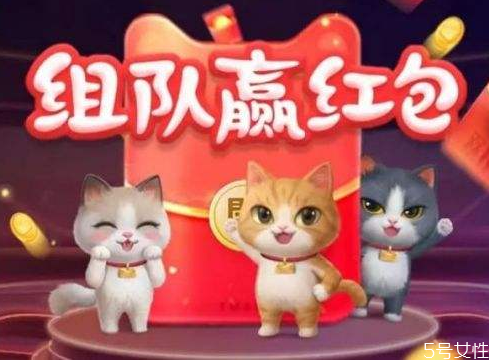双十一养猫队伍怎么踢人,2020双十一养猫组队怎么踢人