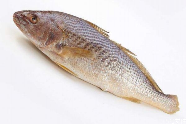 黄姑鱼是什么类,黄鱼和黄姑鱼区别图片 黄姑鱼是什么类,黄鱼和黄姑鱼区别图片