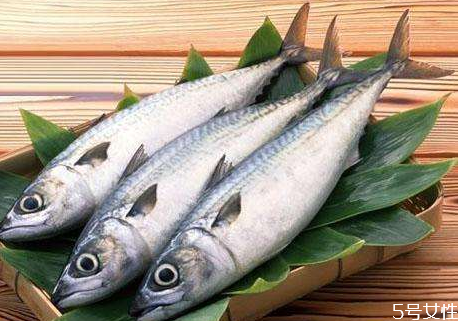 胆固醇高能吃马鲛鱼吗,高血脂能吃马鲛鱼吗 胆固醇高能吃马鲛鱼吗,高血脂能吃马鲛鱼吗