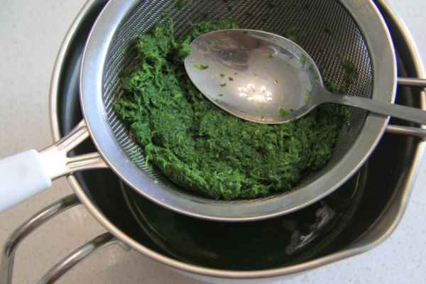 艾草水洗头的作用,艾草水洗头的作用和功效 艾草水洗头的作用,艾草水洗头的作用和功效