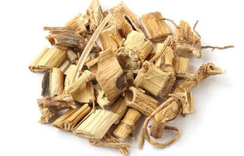 芦根是什么样的图片,芦根是什么东西