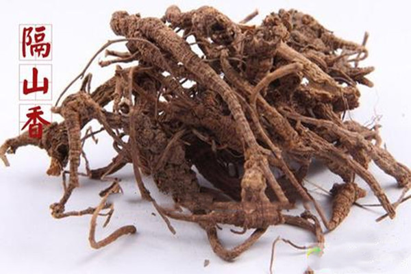 隔山香的功效和作用图片,隔山香的功效和作用及食用方法